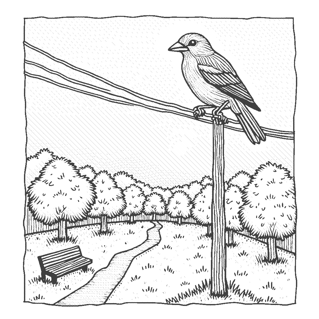 Coloring Page: Sparrow on a Power Line - A sparrow sits on a power line, chirping while looking at a colorful sunset. Below, a small park can be seen with trees and benches where people might be walking.